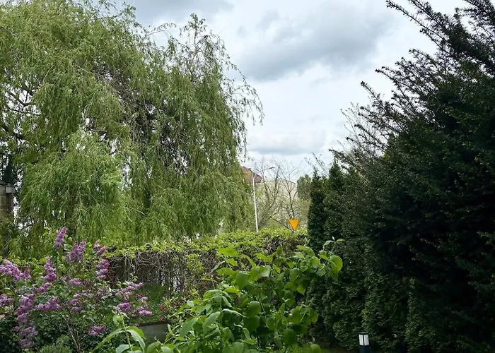 Moon River In Premium Location Close To Metro Lejlighed